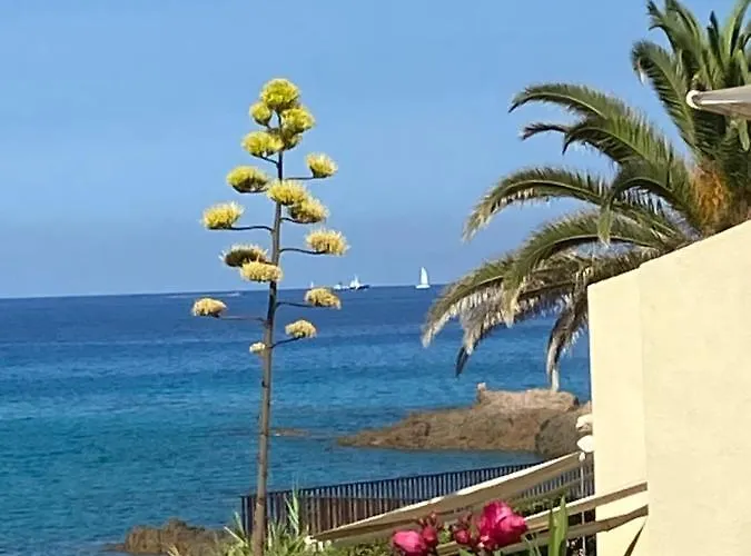 Residence City Suites Ajaccio *