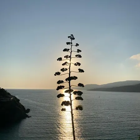 Residence City Suites Ajaccio Αζάτσιο