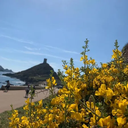 Residence City Suites Ajaccio Διαμέρισμα *