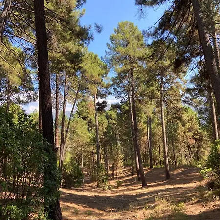 Residence City Suites Ajaccio Διαμέρισμα