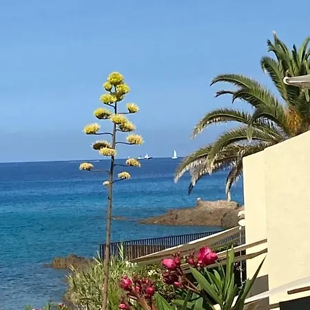 Residence City Suites Ajaccio *