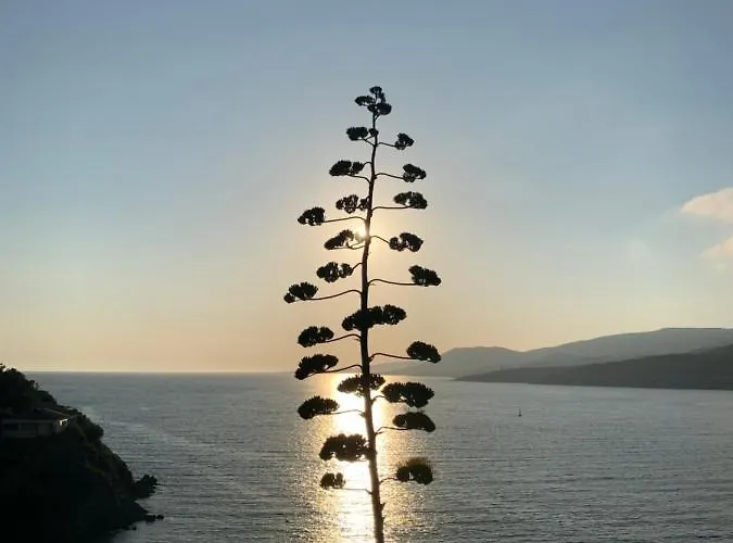 Résidence Ajaccio (Corsica)