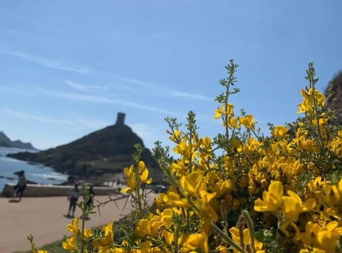 Résidence Appartement *