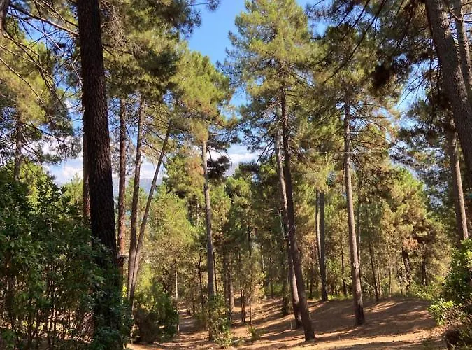 Residence City Suites Ajaccio Apartment